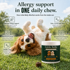 Little Belly AllerGut