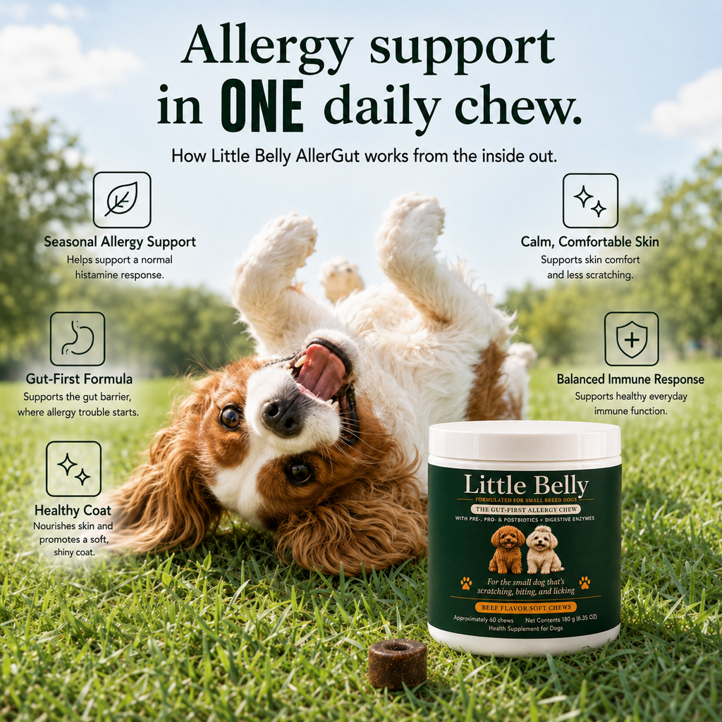 Little Belly AllerGut