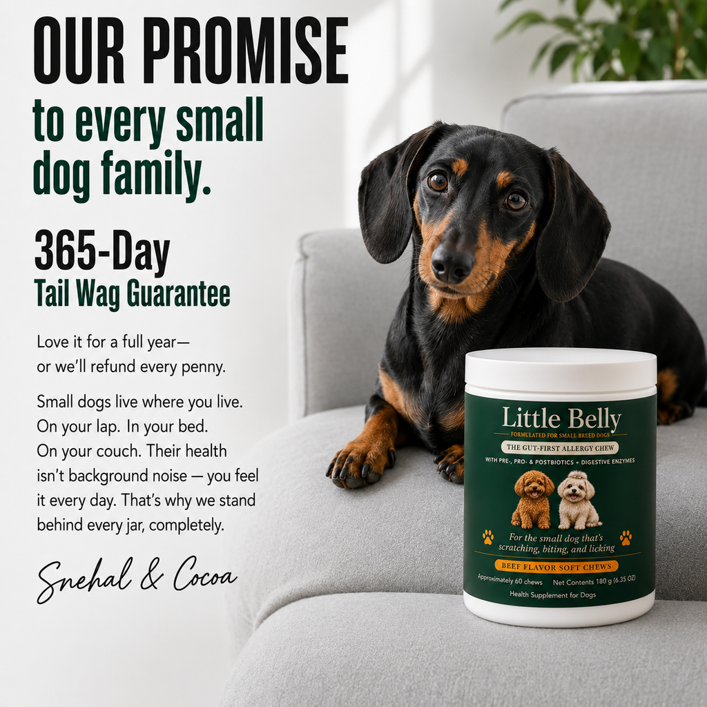 Little Belly AllerGut