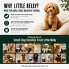 Little Belly AllerGut