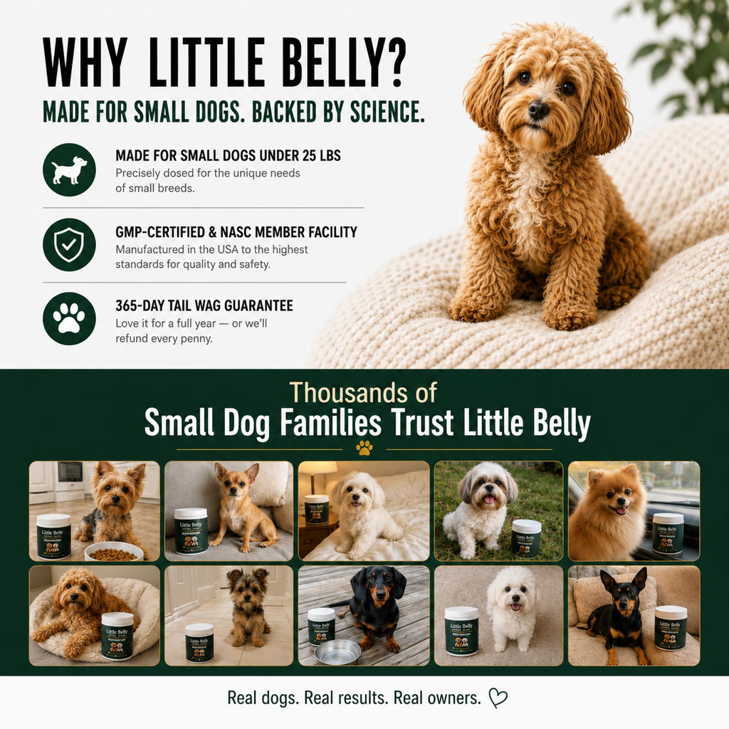 Little Belly AllerGut