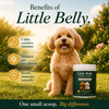 Little Belly Probiotic System