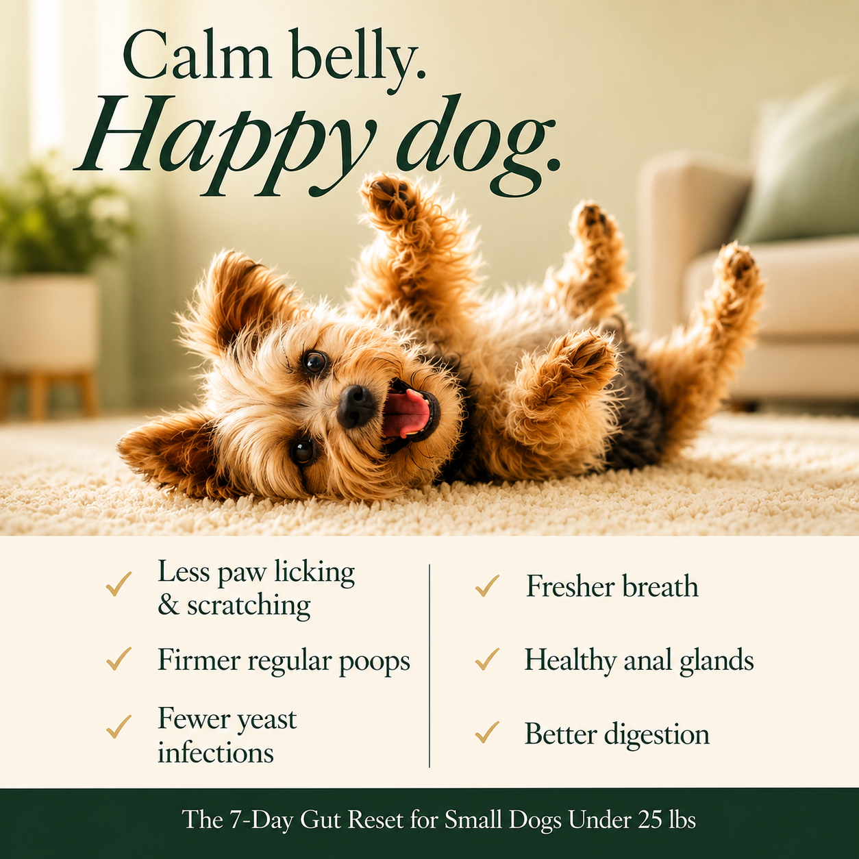 Little Belly Probiotic System